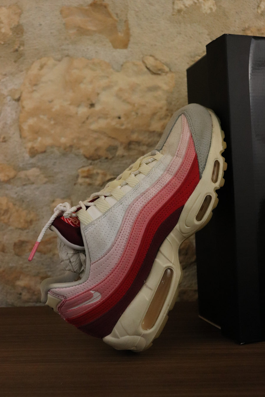 Nike Air Max 95 Anatomy of Air